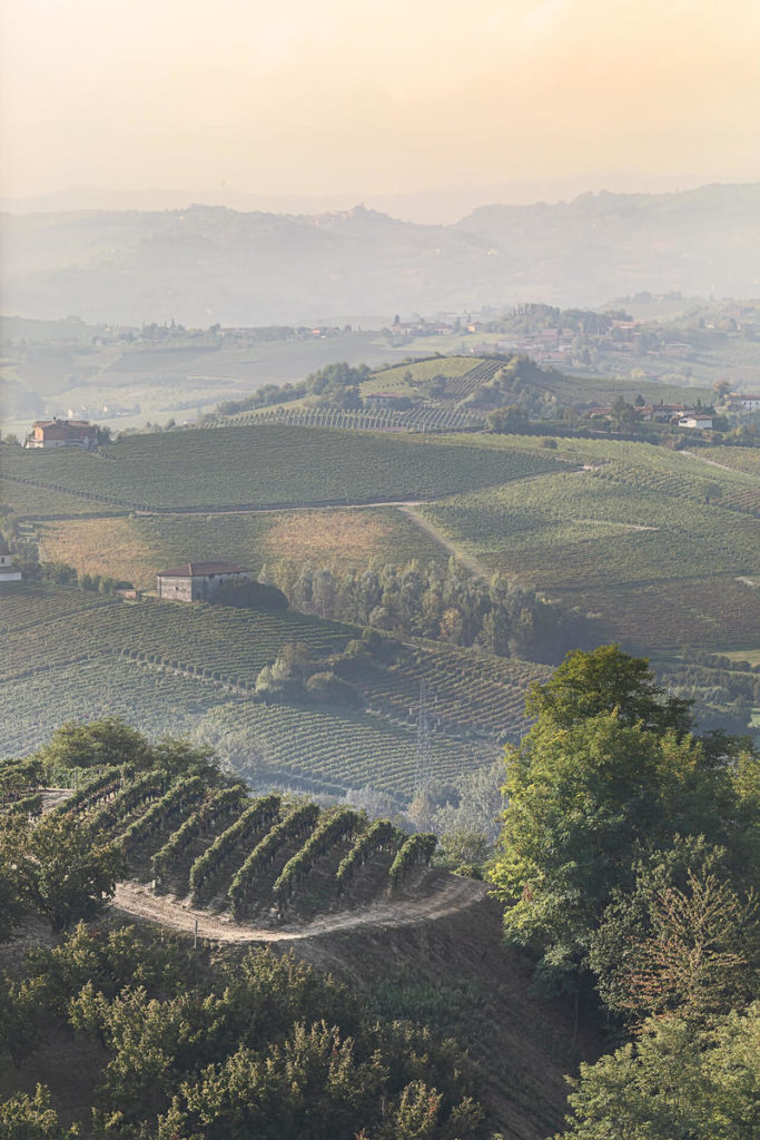 panorama su vigneti